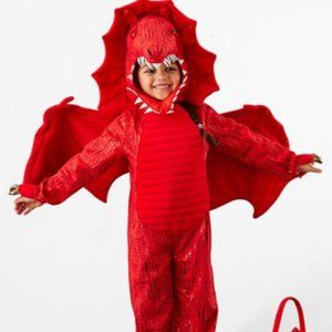 Pottery Barn Kids Red Dragon Costume
